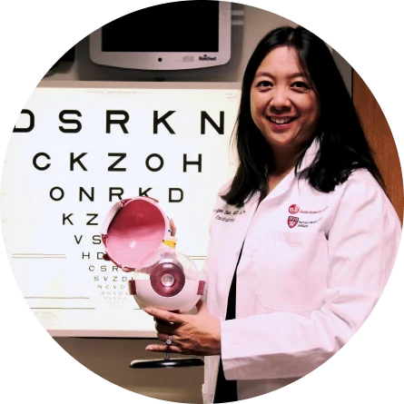 A way to study human eye tissue